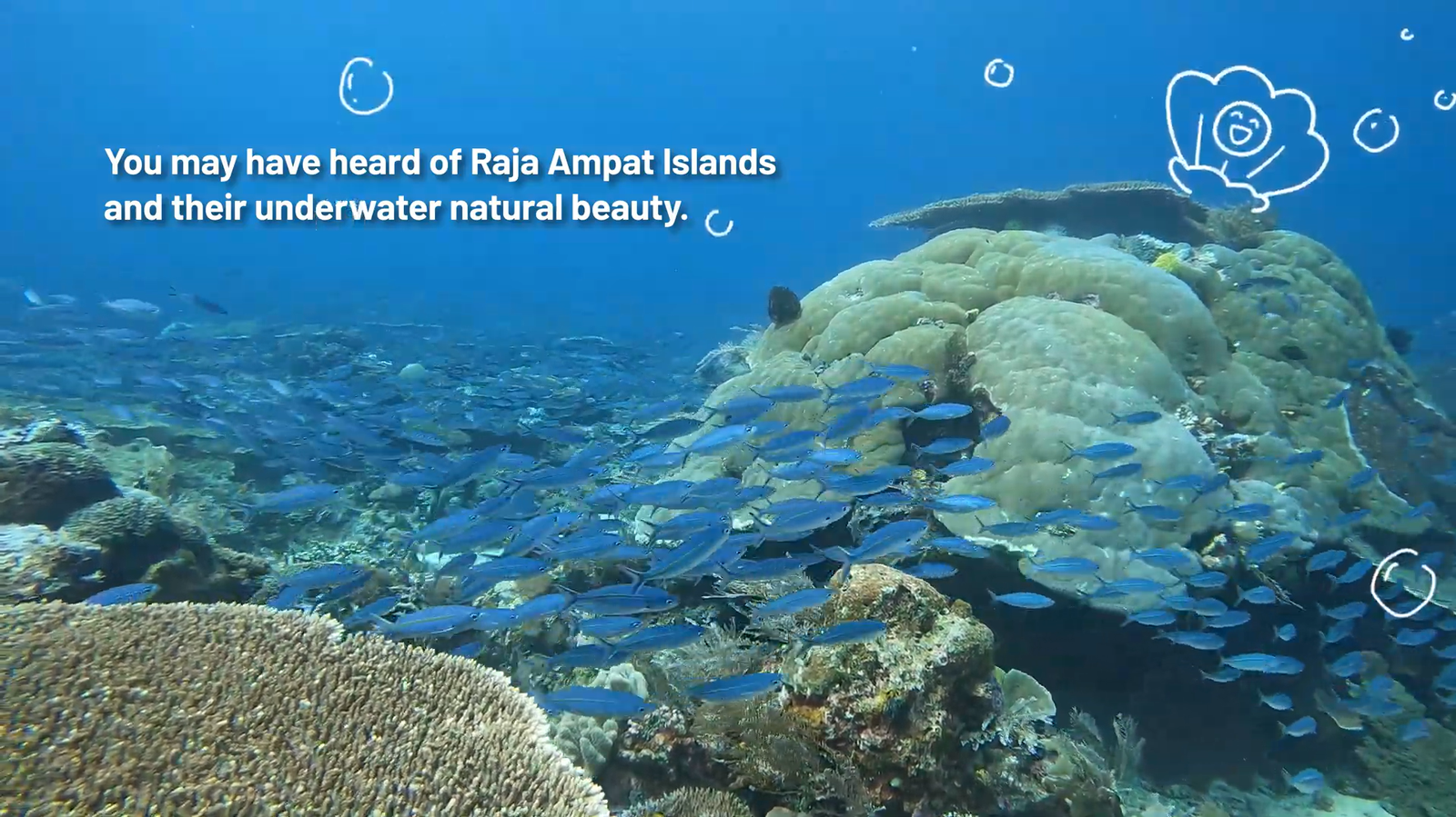 Yayasan Konservatif Alam Nusantara (YKAN)