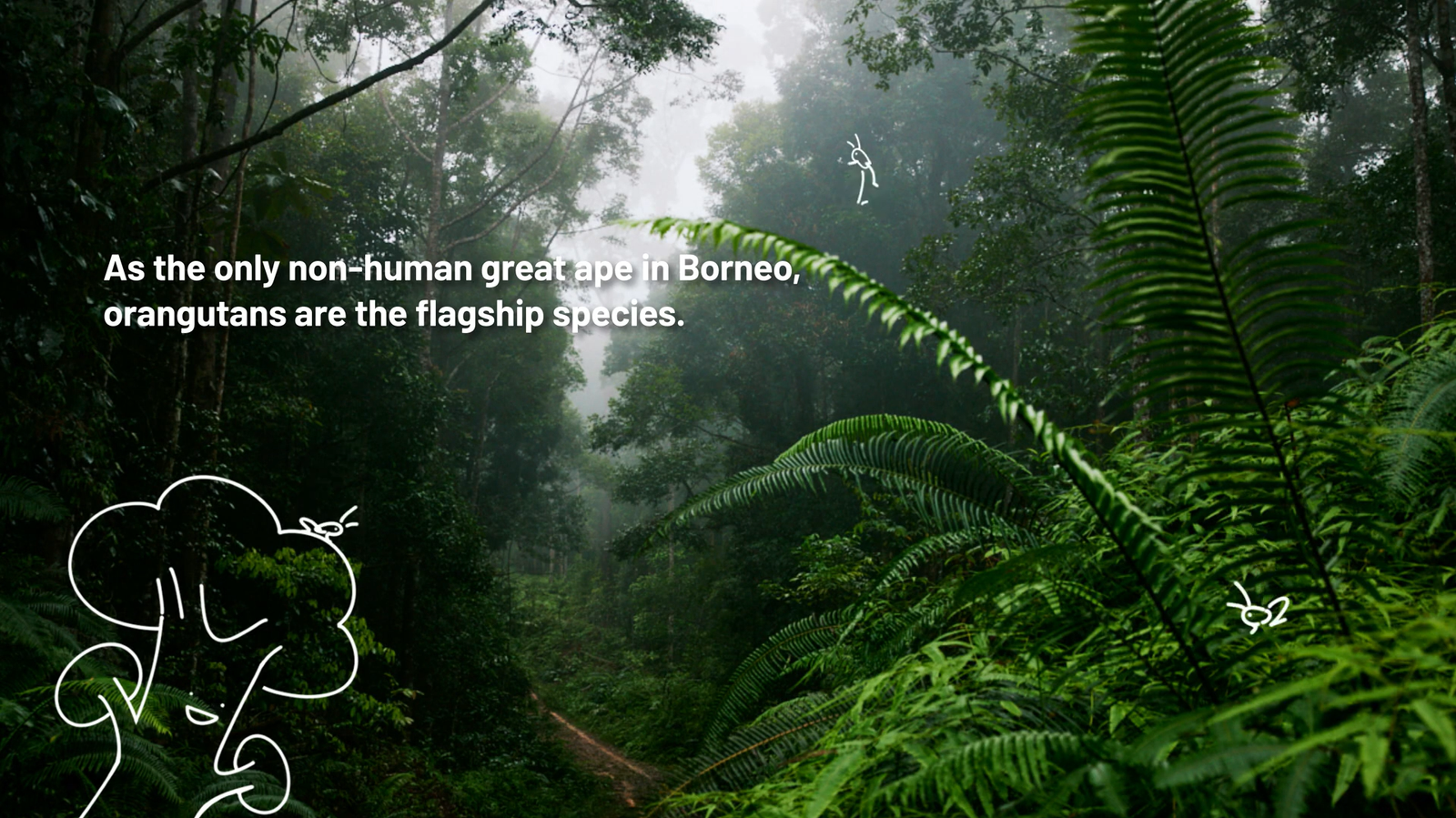 Yayasan Konservatif Alam Nusantara (YKAN)